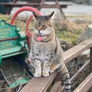 Meet your Posher, Kam